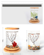 Load image into Gallery viewer, Mini Glass Aquarium Fish Tank with Bamboo Base – Modern Desk Decor Bowl | Pawluxe