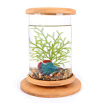 Load image into Gallery viewer, Mini Glass Aquarium Fish Tank with Bamboo Base – Modern Desk Decor Bowl | Pawluxe