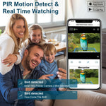 Load image into Gallery viewer, Smart Bird Feeder with 1080P HD Camera