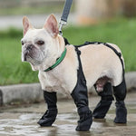 Load image into Gallery viewer, ba50d86dda4a6b8a76415a231b103af4