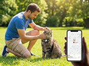 Cat Harness vs Collar: Which is Better for Your Pet?