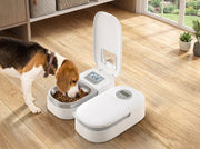 Best Automatic Pet Feeders for Busy Owners (Complete Guide)