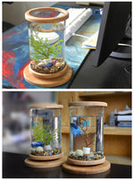 Load image into Gallery viewer, Mini Glass Aquarium Fish Tank with Bamboo Base – Modern Desk Decor Bowl | Pawluxe