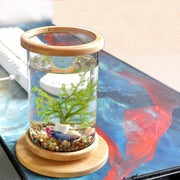 Mini Glass Aquarium Fish Tank with Bamboo Base – Modern Desk Decor Bowl | Pawluxe