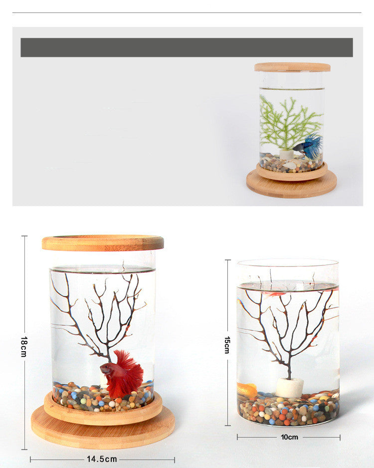 Mini Glass Aquarium Fish Tank with Bamboo Base – Modern Desk Decor Bowl | Pawluxe