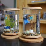 Load image into Gallery viewer, Mini Glass Aquarium Fish Tank with Bamboo Base – Modern Desk Decor Bowl | Pawluxe