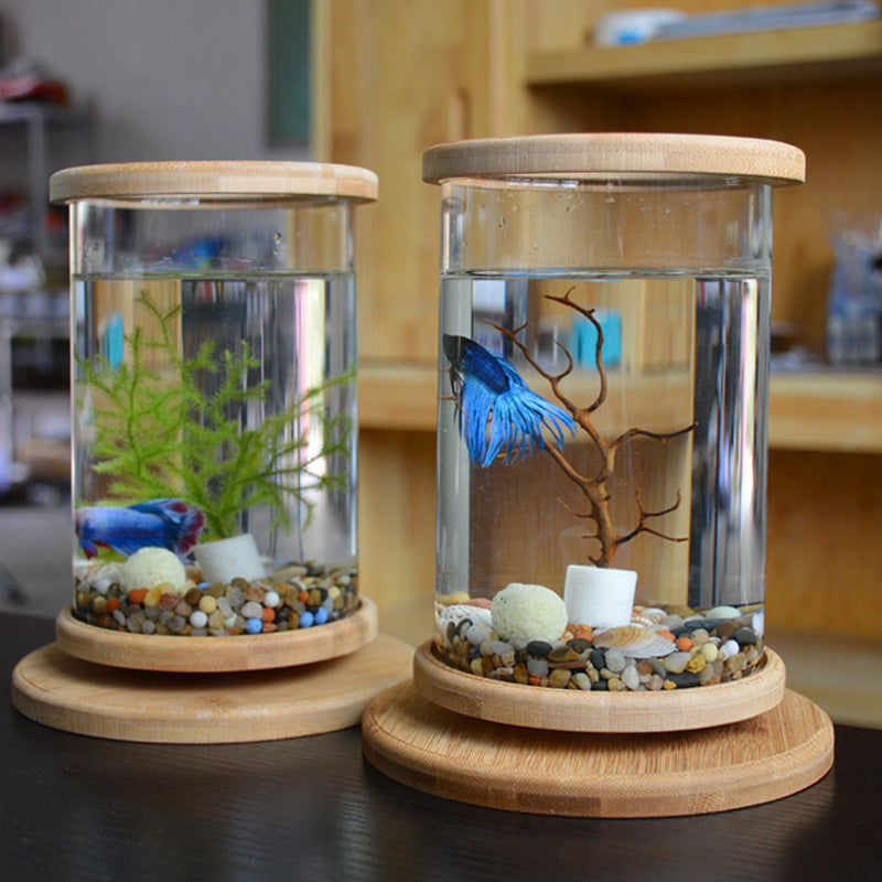 Mini Glass Aquarium Fish Tank with Bamboo Base – Modern Desk Decor Bowl | Pawluxe