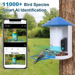 Load image into Gallery viewer, Smart Bird Feeder with 1080P HD Camera