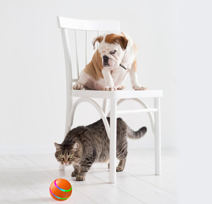 Interactive Smart Cat Toy Ball – Automatic Rolling & USB Rechargeable Pet Activity Toy | Pawluxe