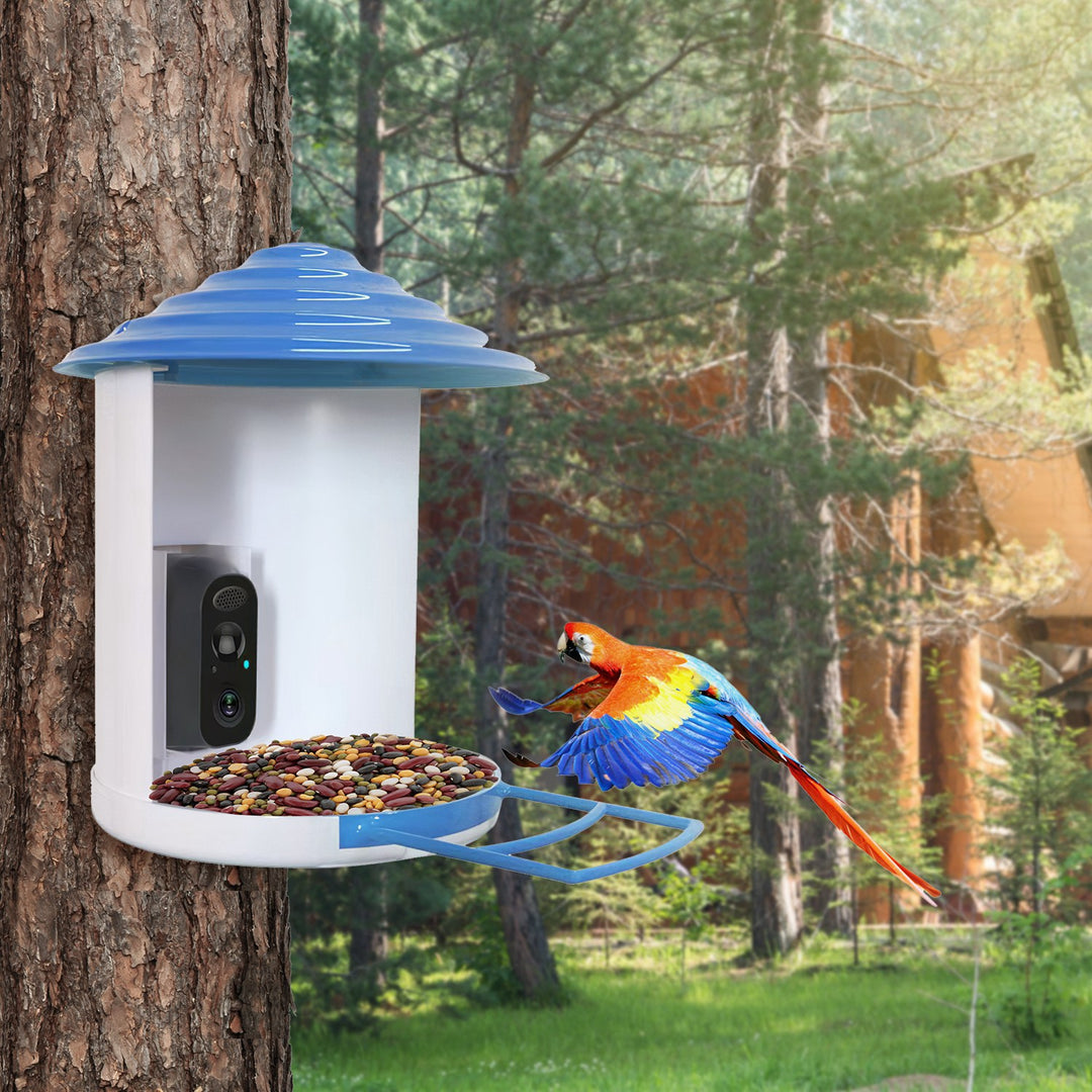 Smart Bird Feeder with 1080P HD Camera